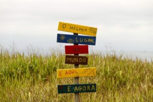 Investimentos em Renda Fixa vs Renda Variável: qual é a melhor opção para o seu perfil de investidor?